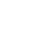 IT Services Icon